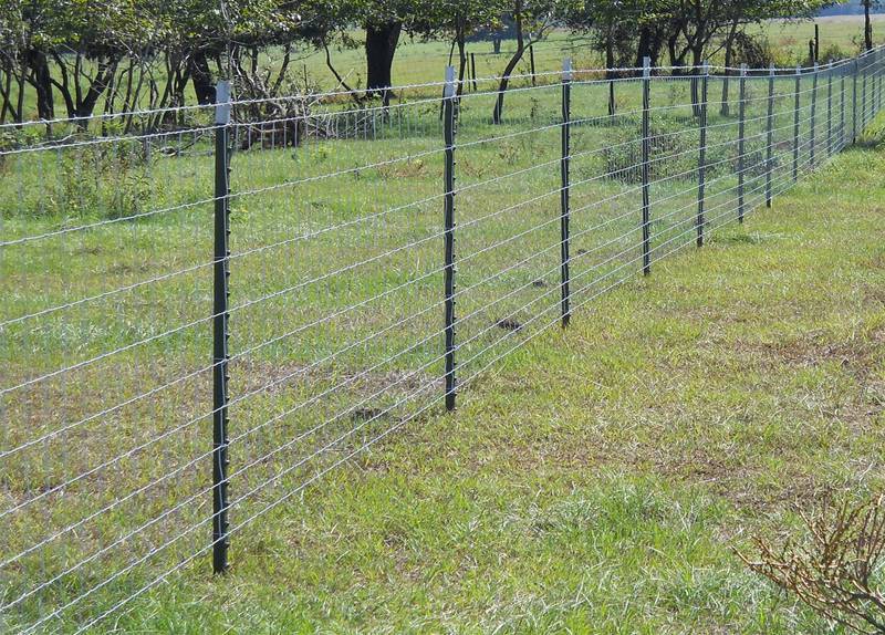 Field Fence Hinge Knot Field Fence